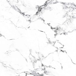 BORGHINI SILVER - фото 47566