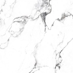 BORGHINI SILVER - фото 47569