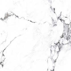 BORGHINI SILVER - фото 47570