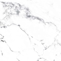 BORGHINI SILVER - фото 47572