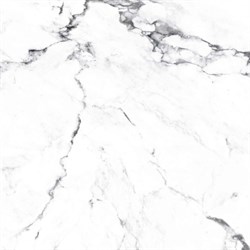 BORGHINI SILVER - фото 47575