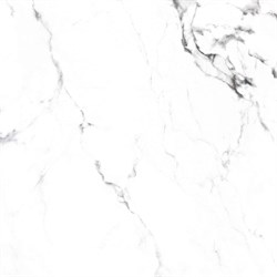 BORGHINI SILVER - фото 47576