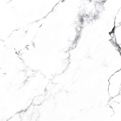 BORGHINI SILVER - фото 47577