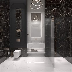 BLACK SPINDER - фото 47591