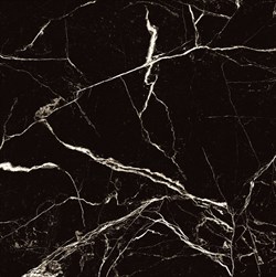 BLACK SPINDER - фото 47596