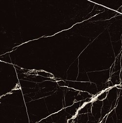 BLACK SPINDER - фото 47599