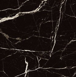 BLACK SPINDER - фото 47600