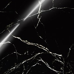 BLACK SPINDER - фото 47603