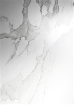 PARADISE STATUARIO - фото 47720