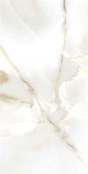 PRIMO ONYX - фото 47765