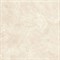 RT6010-B ARAWAK BEIGE 600x600x8 - фото 46022