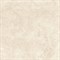 RT6010-B ARAWAK BEIGE 600x600x8 - фото 46028